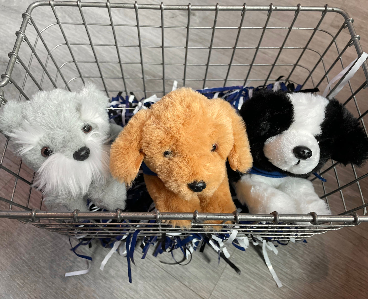 Plush Puppy Buddies