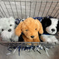 Plush Puppy Buddies