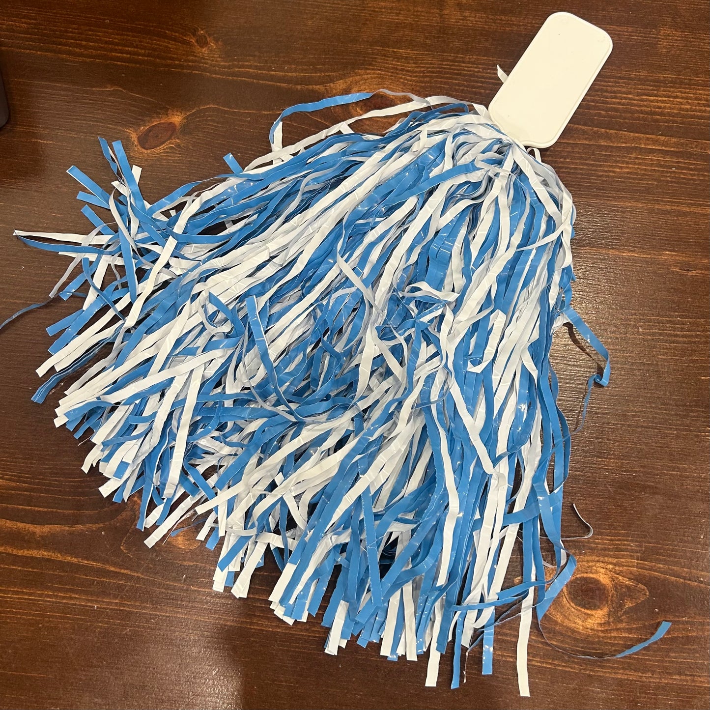 Pom Pom/ Shaker